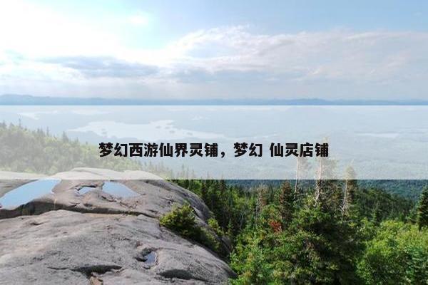 梦幻西游仙界灵铺，梦幻 仙灵店铺