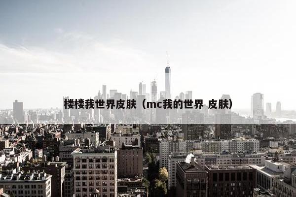 楼楼我世界皮肤（mc我的世界 皮肤）