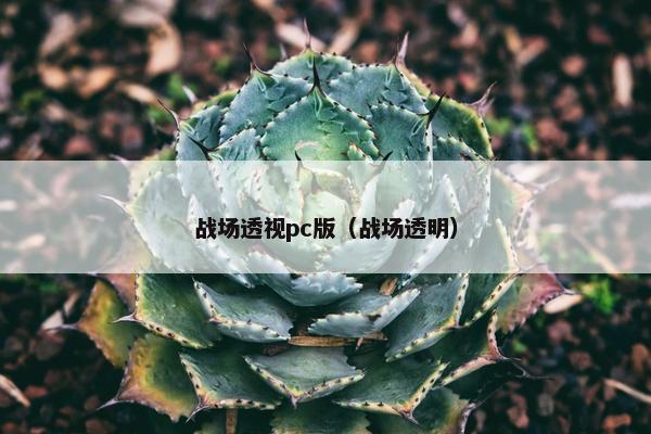 战场透视pc版（战场透明）