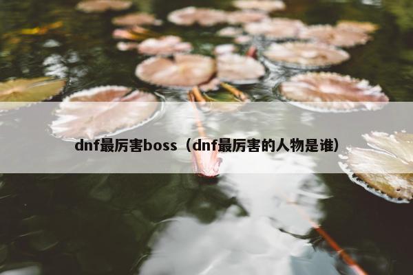 dnf最厉害boss（dnf最厉害的人物是谁）