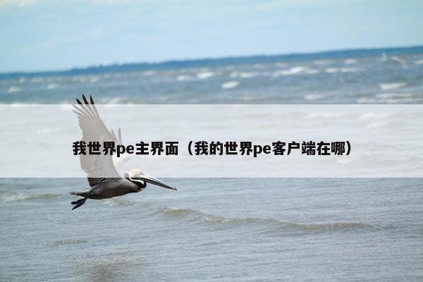 我世界pe主界面（我的世界pe客户端在哪）