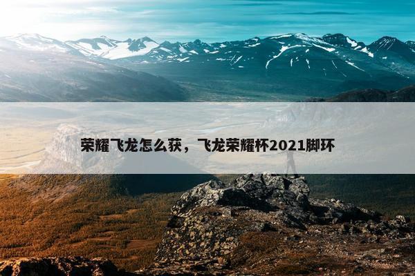 荣耀飞龙怎么获，飞龙荣耀杯2021脚环