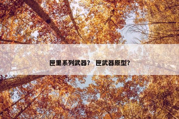 匣里系列武器？ 匣武器原型？