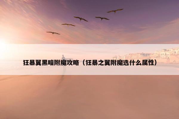 狂暴翼黑暗附魔攻略（狂暴之翼附魔选什么属性）