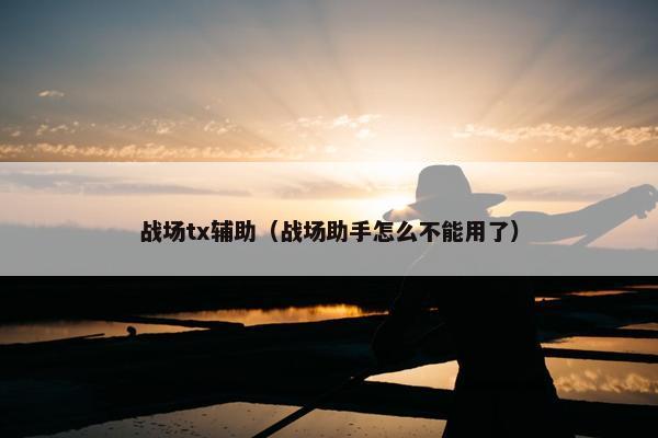 战场tx辅助（战场助手怎么不能用了）