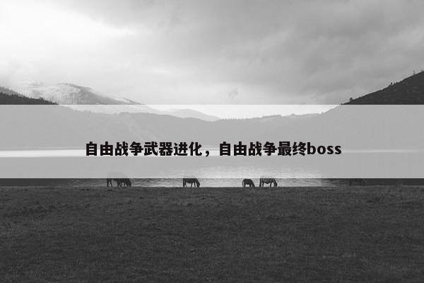 自由战争武器进化，自由战争最终boss