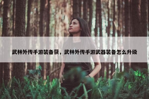 武林外传手游装备获，武林外传手游武器装备怎么升级
