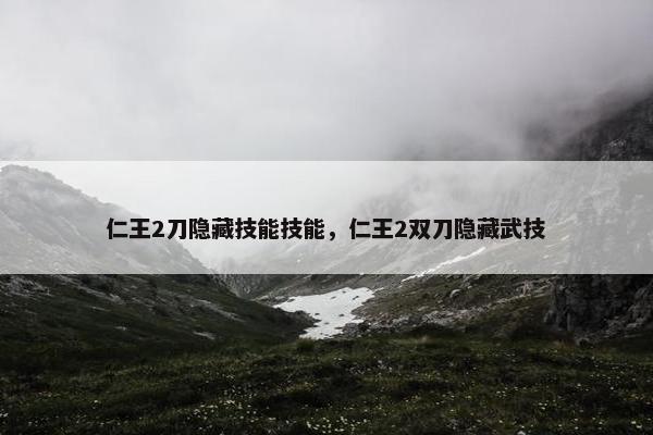 仁王2刀隐藏技能技能，仁王2双刀隐藏武技