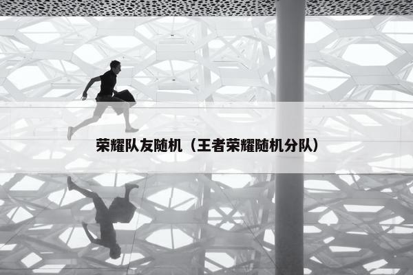 荣耀队友随机（王者荣耀随机分队）