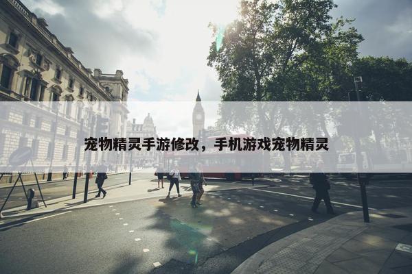 宠物精灵手游修改，手机游戏宠物精灵