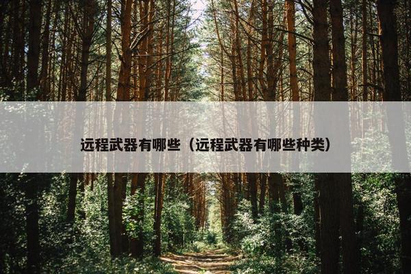 远程武器有哪些（远程武器有哪些种类）