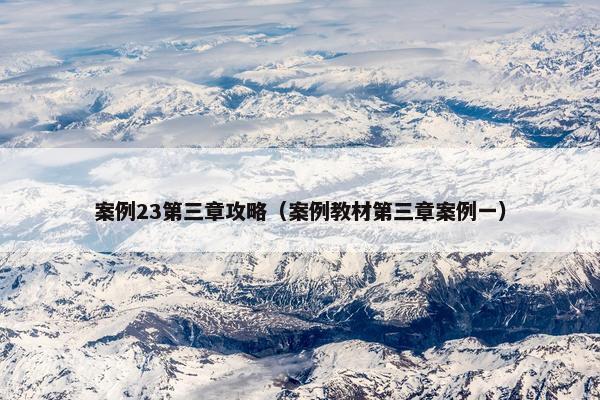 案例23第三章攻略（案例教材第三章案例一）
