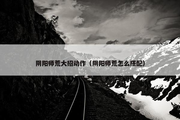 阴阳师荒大招动作（阴阳师荒怎么搭配）