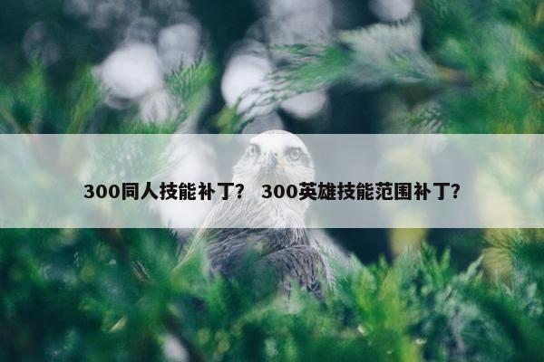300同人技能补丁？ 300英雄技能范围补丁？