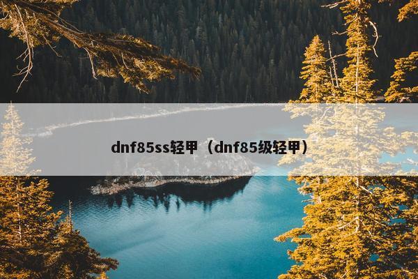 dnf85ss轻甲（dnf85级轻甲）