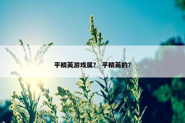 平精英游戏属？ 平精英的？