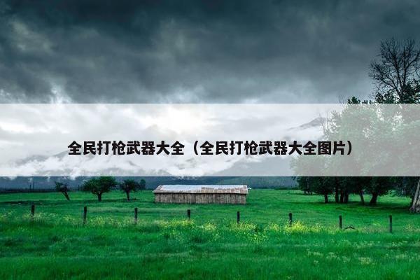 全民打枪武器大全（全民打枪武器大全图片）