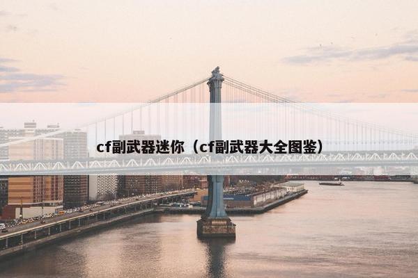 cf副武器迷你（cf副武器大全图鉴）