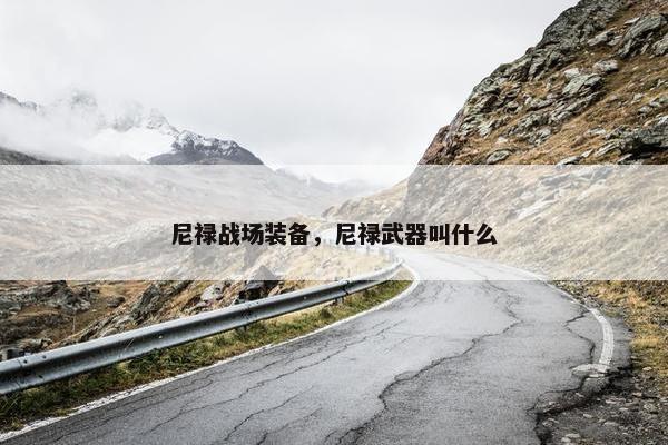 尼禄战场装备，尼禄武器叫什么