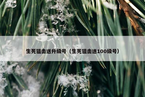 生死狙击送升级号（生死狙击送100级号）