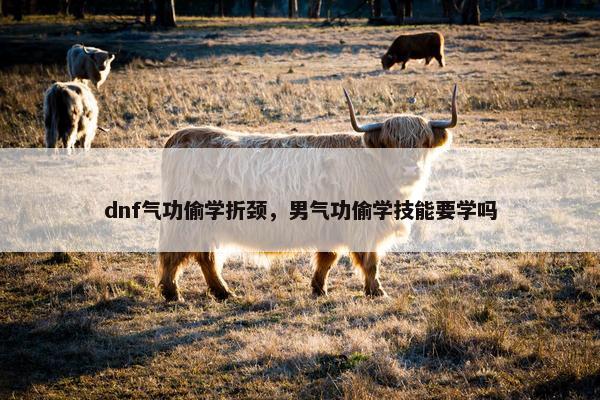 dnf气功偷学折颈，男气功偷学技能要学吗
