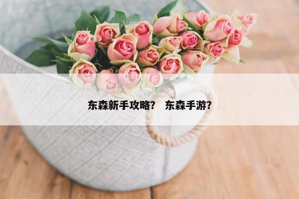东森新手攻略？ 东森手游？