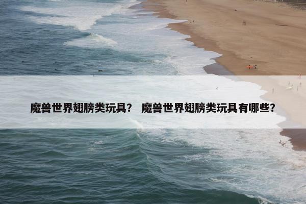魔兽世界翅膀类玩具？ 魔兽世界翅膀类玩具有哪些？