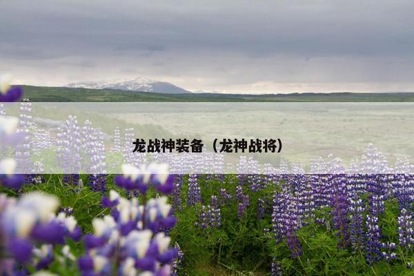 龙战神装备（龙神战将）
