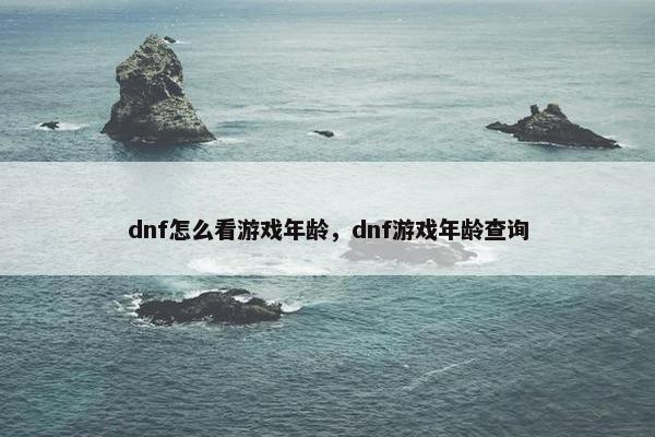 dnf怎么看游戏年龄，dnf游戏年龄查询