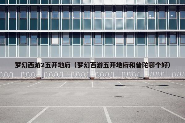 梦幻西游2五开地府（梦幻西游五开地府和普陀哪个好）