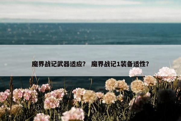 魔界战记武器适应？ 魔界战记1装备适性？