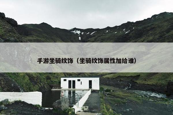 手游坐骑纹饰（坐骑纹饰属性加给谁）