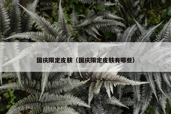 国庆限定皮肤（国庆限定皮肤有哪些）