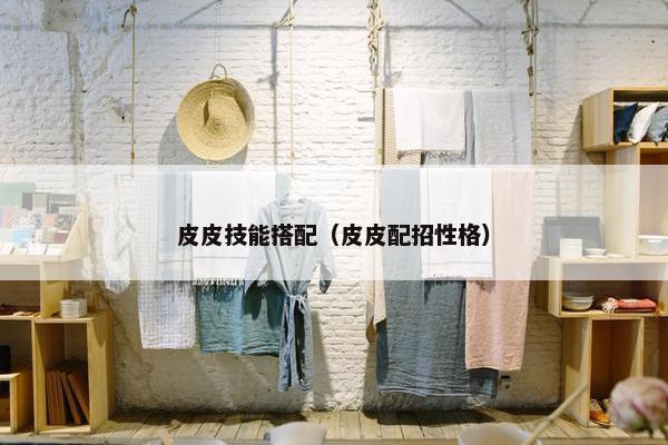 皮皮技能搭配（皮皮配招性格）