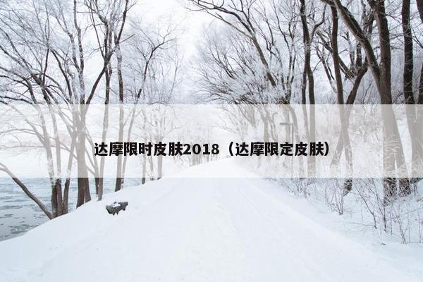 达摩限时皮肤2018（达摩限定皮肤）
