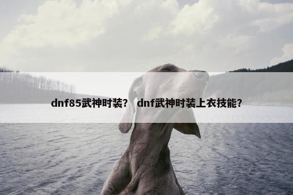 dnf85武神时装？ dnf武神时装上衣技能？