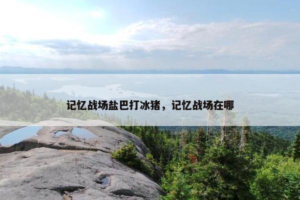 记忆战场盐巴打冰猪，记忆战场在哪