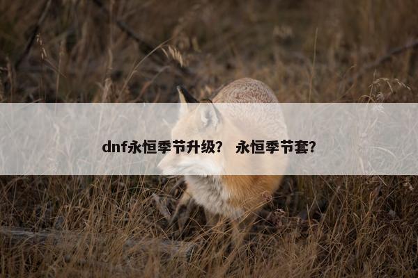 dnf永恒季节升级？ 永恒季节套？