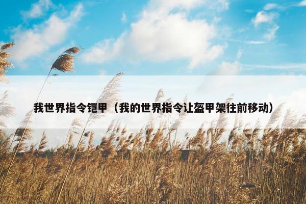 我世界指令铠甲（我的世界指令让盔甲架往前移动）