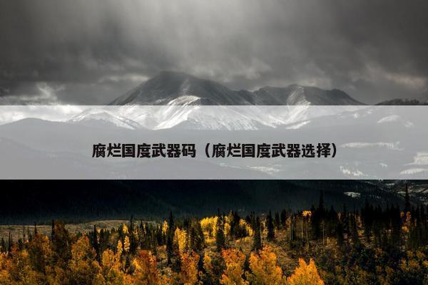腐烂国度武器码（腐烂国度武器选择）
