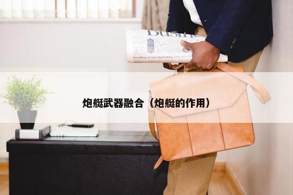 炮艇武器融合（炮艇的作用）