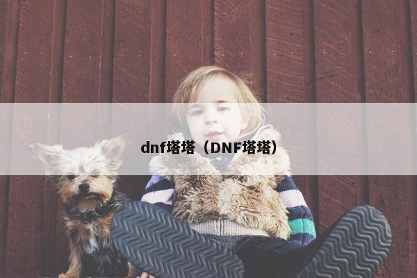 dnf塔塔（DNF塔塔）