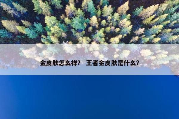 金皮肤怎么样？ 王者金皮肤是什么？