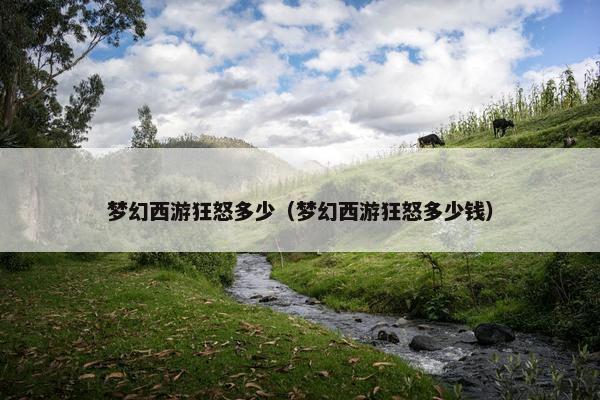 梦幻西游狂怒多少（梦幻西游狂怒多少钱）