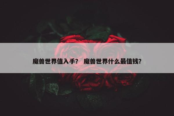 魔兽世界值入手？ 魔兽世界什么最值钱？