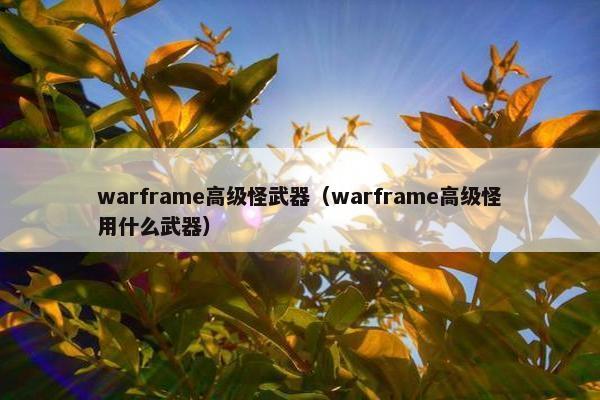 warframe高级怪武器（warframe高级怪用什么武器）