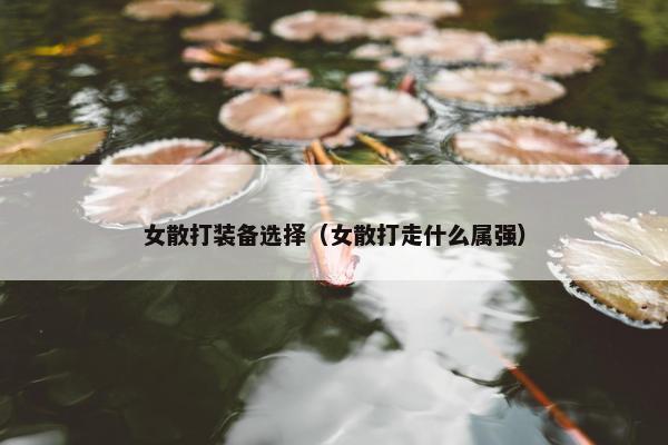 女散打装备选择（女散打走什么属强）