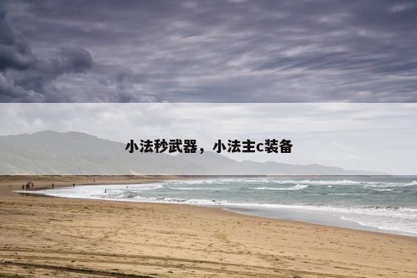 小法秒武器，小法主c装备