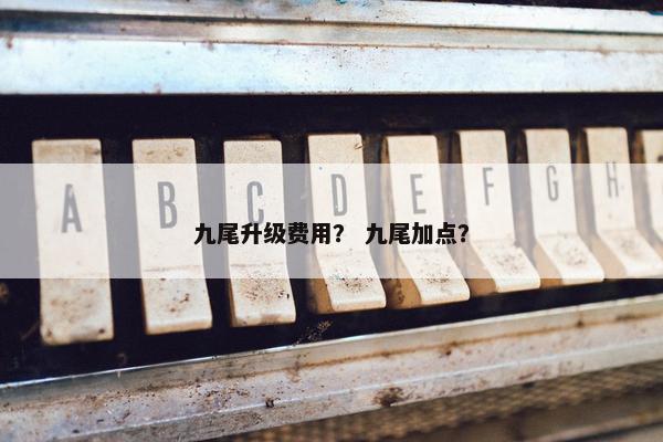 九尾升级费用？ 九尾加点？