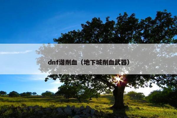 dnf谐削血（地下城削血武器）